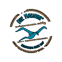 Beach Birds Sticker by Ave Marinha