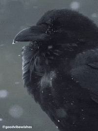 Dark Winter GIF