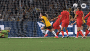 Celebration Goal GIF by Football Australia