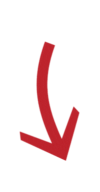 Dw Sticker by Deutsche Welle
