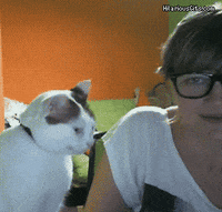 internet computer GIF