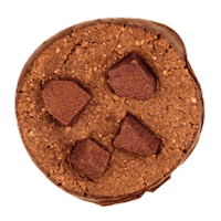 Hungry Sticker by Co Chocolat