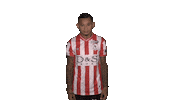 Denzel James Sticker by Sparta Rotterdam