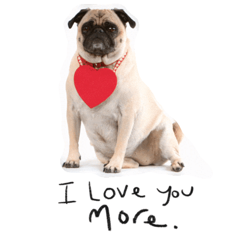 In Love Heart Sticker by GIPHY Studios 2021