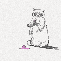 AlexTheAVP helado mapache alextheavp theavp GIF