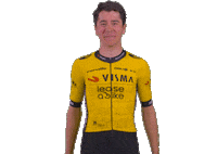 Tour De France Celebration Sticker by Team Visma | Lease a Bike