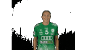 Handball Greenfamily Sticker by ETO