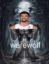 Miami Heat GIF