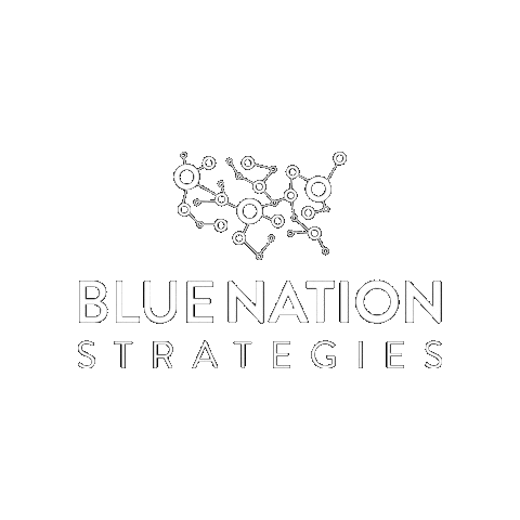 bluenation giphygifmaker blue nation blue nation strategies Sticker