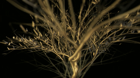 gold tree GIF by limeartgroup