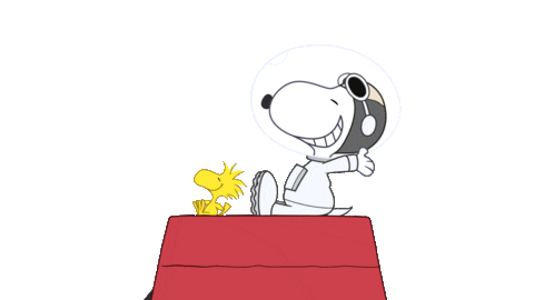 Happy Cartoon Sticker by Peanuts