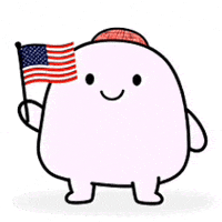 United States Usa GIF by Bereishis Foundation