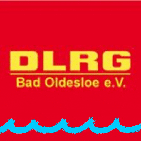 DLRG-Oldesloe giphygifmaker giphyattribution dlrg oldesloe GIF