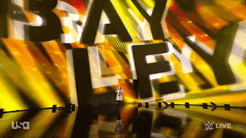 Sport Wwe GIF by USA Network