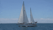 sailing cruising GIF
