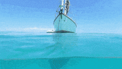 vacation sailing GIF