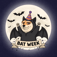 Celebrating Shiba Inu GIF by Doge Pound