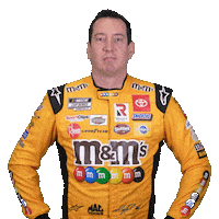 Kyle Busch Nascar Sticker by Joe Gibbs Racing
