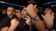 ufc 206 GIF