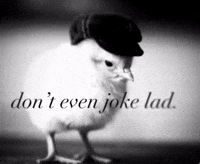 Chicken Joke GIF