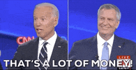 Joe Biden Dnc Debates 2019 GIF by GIPHY News