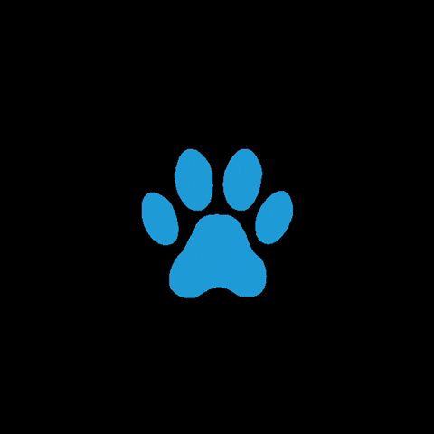 animaladoptioncenterjh giphygifmaker dog paw adopted GIF