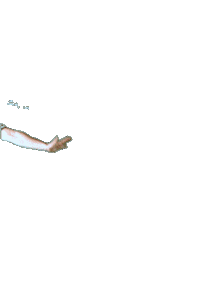 Handball Sticker by Stralsunder HV