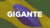 Rio De Janeiro Brazil GIF