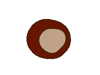 Fall Autumn Sticker
