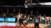 Womens Basketball GIF by WNBA