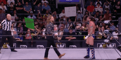 Cm Punk Wrestling GIF by AEWonTV