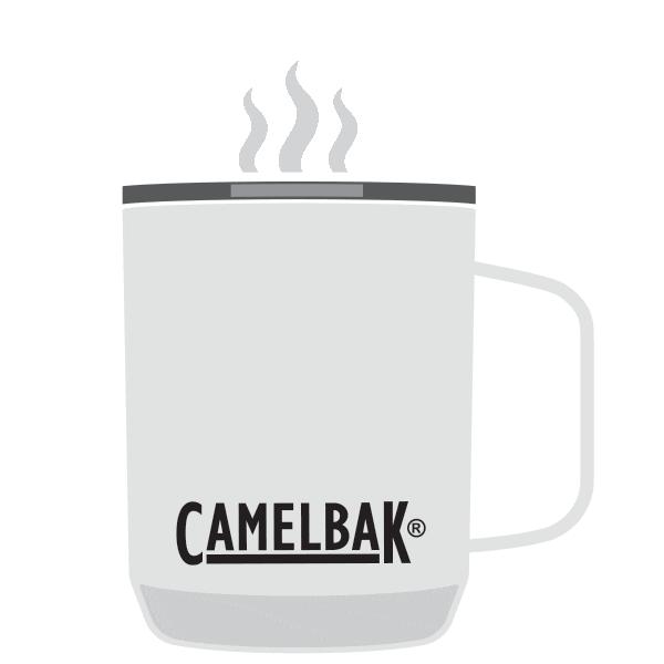 Party Celebrate Sticker by CamelBak