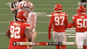 Super Bowl Sport GIF by NFL