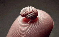 Mind Peak GIF