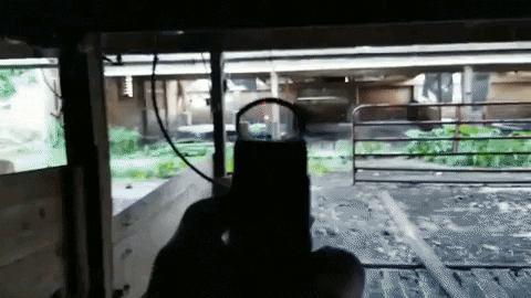 AmericanFirearms giphygifmaker GIF