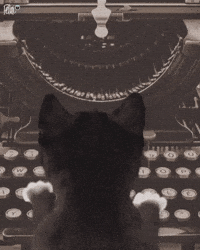 Work Cats GIF by Felini Rocks