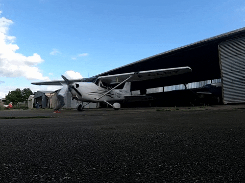 vbazillio giphyupload no aviation dont want GIF