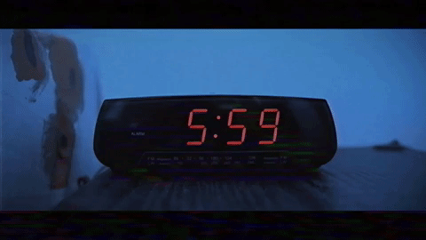 groundhog day fun GIF
