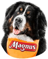 Dog Hello Sticker by Adimax Pet