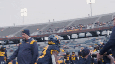 West Virginia Sport GIF by WVU Sports