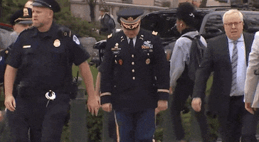 news impeachment inquiry alexander vindman GIF