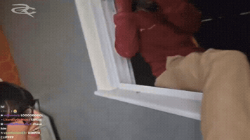 University Of Akron Twitch Streamers GIF by Respective