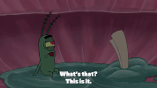 season 9 episode 25 GIF by SpongeBob SquarePants