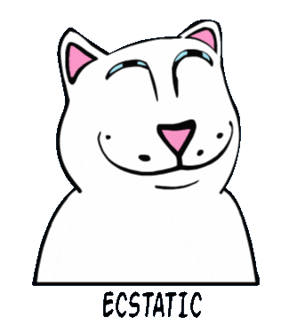 RIPNDIP_CAT happy cat confused grunge Sticker