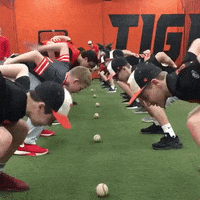 rawlingstigers baseball mlb rawlings rawlings tigers GIF