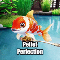 Koi Fish Pet Care GIF by TheConfishius