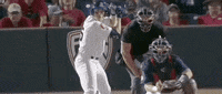 World Series Baseball GIF by NCAA Championships
