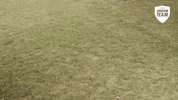 Var Football Dive GIF by Dream Team FC