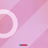 Goal Epl GIF by skysports