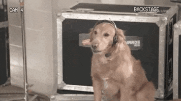 GIF by Kids' Choice Awards 2019